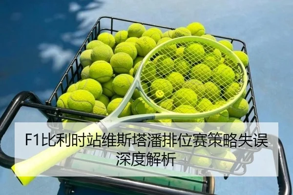 bi-li-shi-zhan-wei-si-ta-pan-pai-wei-sai-ce-lve-shi-wu-shen-du-jie-xi-2-309.jpg