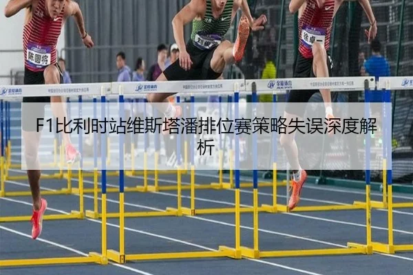 bi-li-shi-zhan-wei-si-ta-pan-pai-wei-sai-ce-lve-shi-wu-shen-du-jie-xi-3-367.jpg