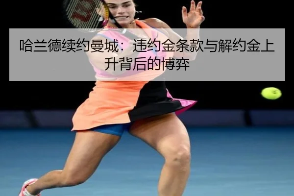 ha-lan-de-xu-yue-man-cheng-wei-yue-jin-tiao-kuan-yu-jie-yue-jin-shang-sheng-bei-hou-de-bo-yi-3-955.jpg
