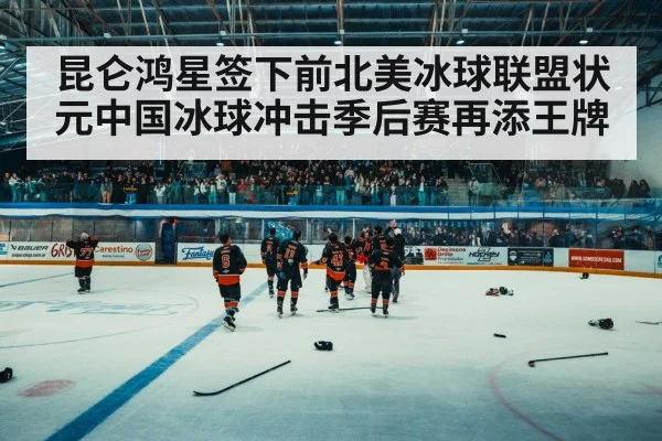 ice hockey arena crowd