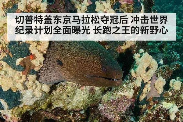 切普特盖东京马拉松夺冠后 冲击世界纪录计划全面曝光 长跑之王的新野心