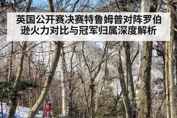 英国公开赛决赛特鲁姆普对阵罗伯逊火力对比与冠军归属深度解析